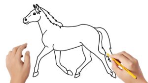 Cómo dibujar un caballo realista